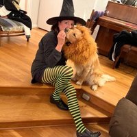 RobinAbcarianLAT (@robinkabcarian) 's Twitter Profile