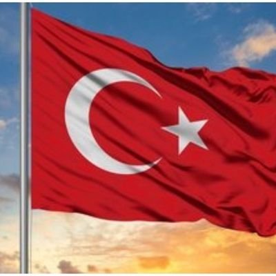 VLX_Huezo's profile picture. Solana NFTs & ART: YakuCorp Maxi - their upcoming metaverse will integrate many great Solana Projects/Communities - Gaming/Art/Utility...