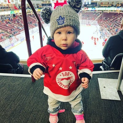 Soo Greyhounds Scout|Co-Owner @ProdigyHockey19