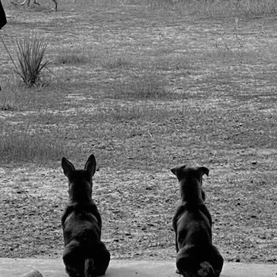 sbfktw's profile picture. 