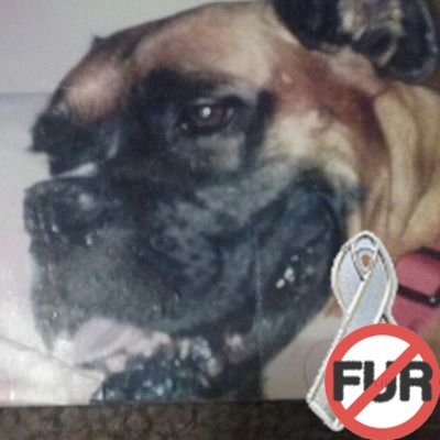 @CAFFREY_USA