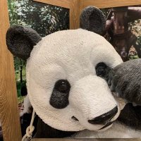 ハフィ (@hafintonpost) 's Twitter Profile