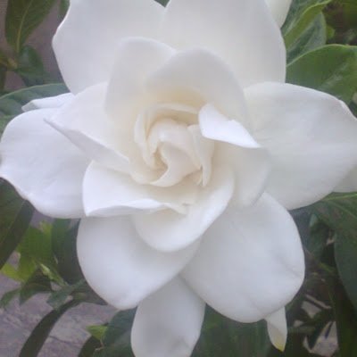 unlam2018's profile picture. 