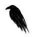 Anand (@piratesshield) Twitter profile photo Anand (@piratesshield) Twitter profile photo