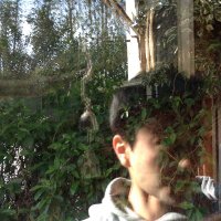 Alex Tamaki (@astamaki) 's Twitter Profile