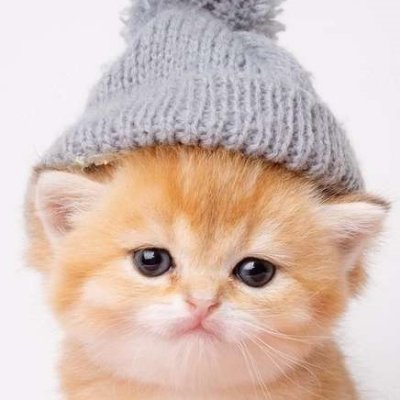 EdytkaCrypto's profile picture. 