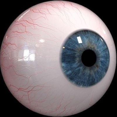 LunaGa001's profile picture. holi 🌱