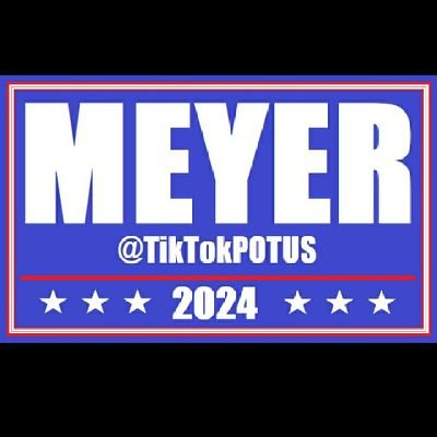 TikTokPOTUS's profile picture. An average American, and TRUE outsider running for president