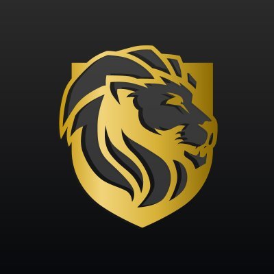 Get funding, build credit, and let your profits ROAR