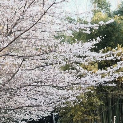 法学，在校大学生，安徽马鞍山人，实习南京（也即将工作）。辩论/法学/读书
多认识一些朋友，多一些社会经历
兔年梯山航海，腊尽春来；万象更新，奋楫笃行