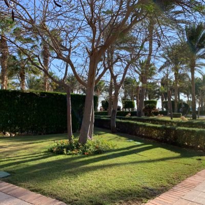 ddosama22062972's profile picture. 