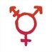 Transgender Media Portal (@TransMediaPortl) Twitter profile photo