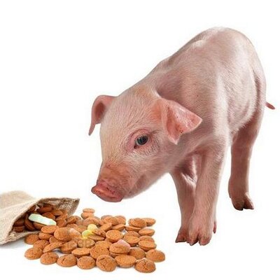 moord Verslaafde Emulatie varkensspeelgoed.nl (@varkensspelen) / Twitter