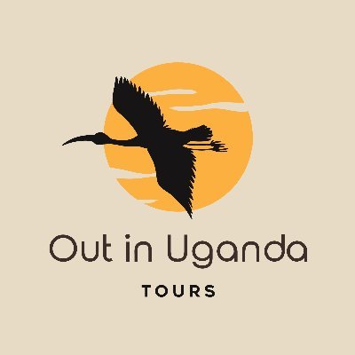 Tours & Travel