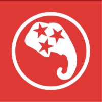 TN Young Republicans (@tyrf) 's Twitter Profile