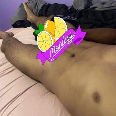 NoeAlfa73952435's profile picture. 