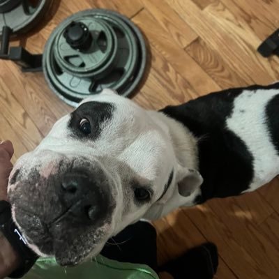 JoeWrites37's profile picture. Screenwriter/EMT