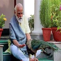 Raj (@raj27281147) 's Twitter Profile Photo Raj (@raj27281147) 's Twitter Profile Photo