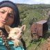 Nuri Nurilins (@nuriinurilins) Twitter profile photo Nuri Nurilins (@nuriinurilins) Twitter profile photo