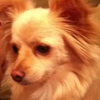 gigisaqqara (@gigisaqqara) Twitter profile photo