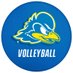 Delaware Volleyball (@Delaware_VB) Twitter profile photo