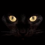 el_observante_'s profile picture. 