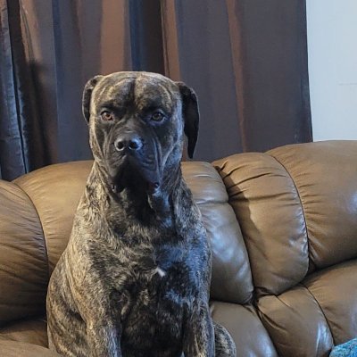 sutphin526's profile picture. 