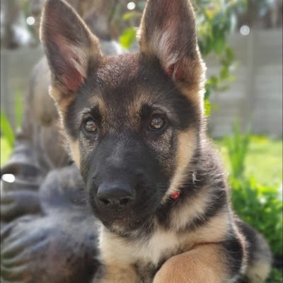 MacfixB5519's profile picture. 