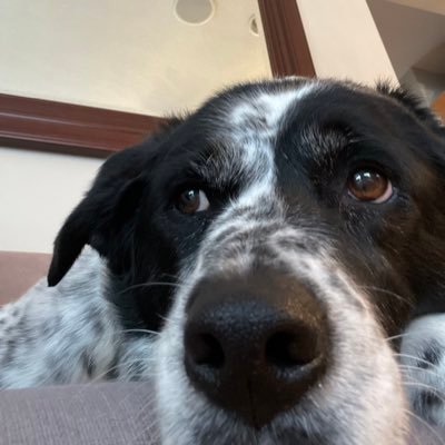 stellajoe1672's profile picture. 