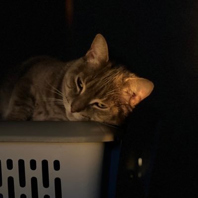 isibani_'s profile picture. ?