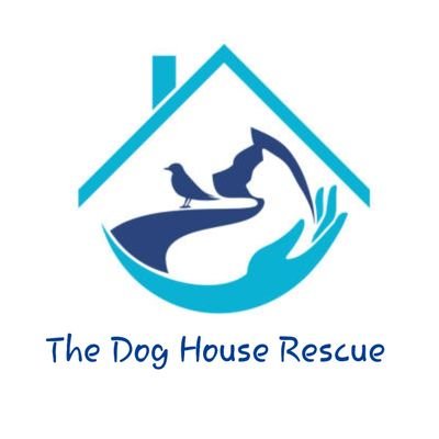 We create real change for dogs and cats in need through rescue, medication, re-homing and restoring hope.