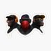E A C (@eafic7) Twitter profile photo E A C (@eafic7) Twitter profile photo