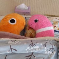 くまるん (@10maru10kumarun) 's Twitter Profile