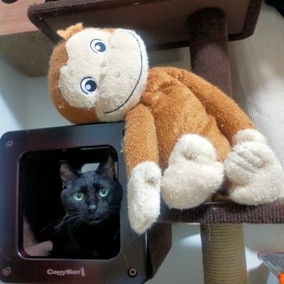 nJzPW1RZlKkVSw2's profile picture. 🐈🔨🍺🎣🌲⛺