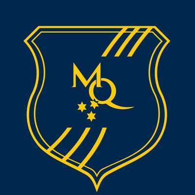 The official twitter account of the Quadball Team at the University of Michigan!