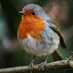 Hersham Residents (@hershamres) Twitter profile photo Hersham Residents (@hershamres) Twitter profile photo