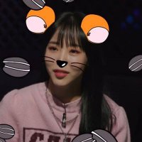곰쥐 (@gomzzi_3721) 's Twitter Profile