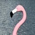Orlando On A Budget (@orlandoonbudget) Twitter profile photo Orlando On A Budget (@orlandoonbudget) Twitter profile photo