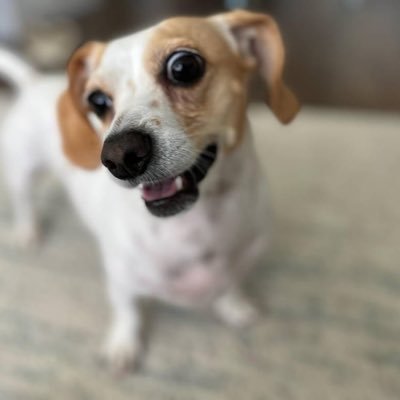Linhhhy's profile picture. 
