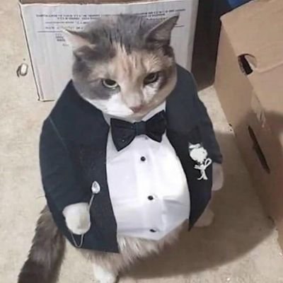 Bir_garip_kedy's profile picture. İstanbulda hayatta kalmaya çalışan bir üniversiteli