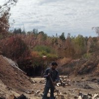 Cris G. A. (@crisgarridoa) 's Twitter Profile