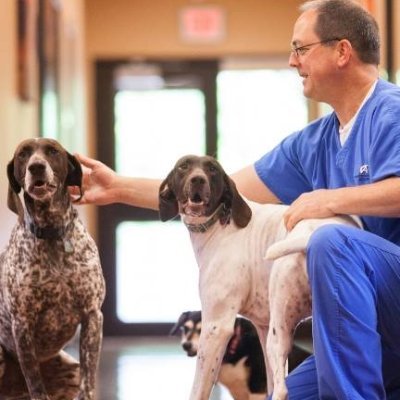 Interventional Pain Physician, ABA, ABIPP, FIPP, ABPM #topdoctor. Opinions are my own. No Porn, will not answer DMs.
