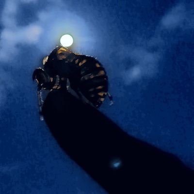 bakabonbomb1008's profile picture. 