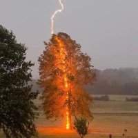 Jim (@matthew1211974) 's Twitter Profile