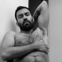 El Zorro Barbón (@elzorrobarbon) 's Twitter Profile