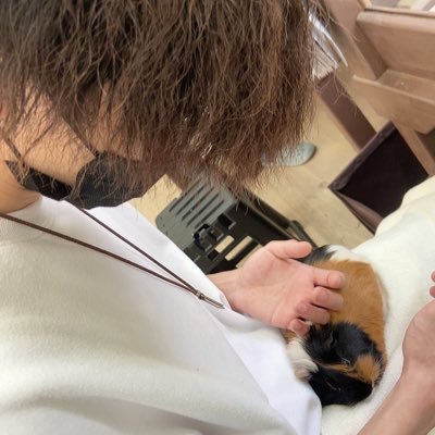 chinmu1234's profile picture. ポケカ初めて1年経ちました〜‼️まだまだ下手っぴですが頑張ってます笑🤣 無言フォローすみません😭一緒にポケカしてくれる人是非‼️🙇‍♂️