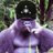 islndhawk's profile image