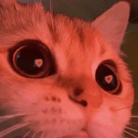 Josué.Nico24 (@nicolle_1910) 's Twitter Profile