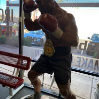 OWLS boxer (@wwjgrjd) 's Twitter Profile