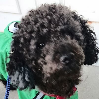 ヒロさんのプロフィール画像